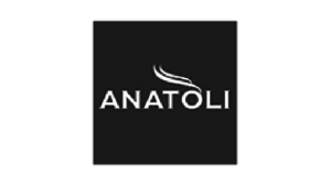 anatoli_logo_gray-300x169